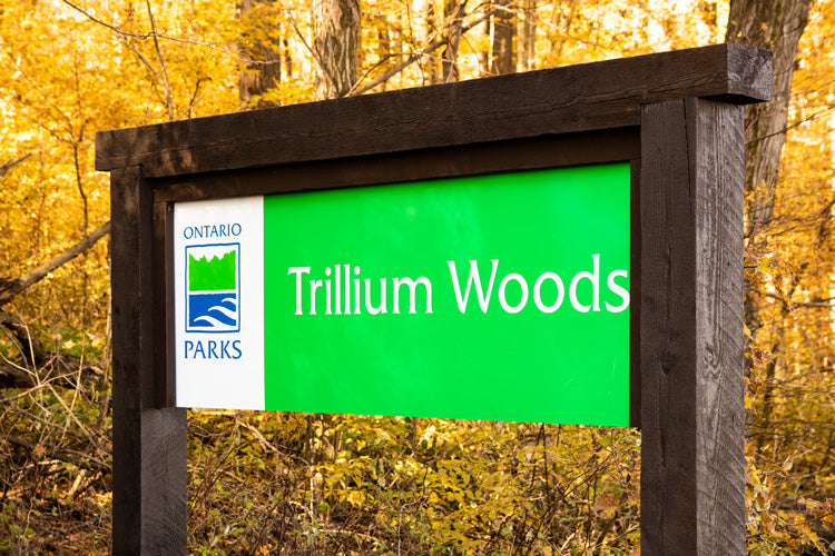 Beautiful Trails surrounding Jakeman’s Gift Shop